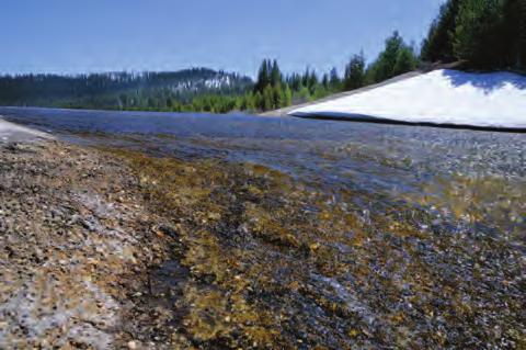 Truckee Rivers. throughout California and northern Nevada.