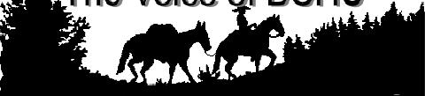 Volume 5, Issue 1 January 2012 B a c k C o u n t r y H o r s e m e n o f U t a h INSIDE THIS ISSUE: HiLine & Hobbles Central Utah Bridgerland Find More Horse Trails 2 3 4 5 S t a t e C h a i r m a n