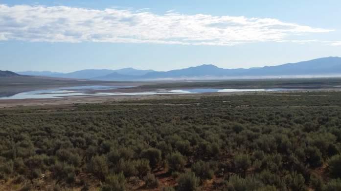 You will also travel past the Little Salt Lake. This area is normally dry salt flat with only occasional surface water.