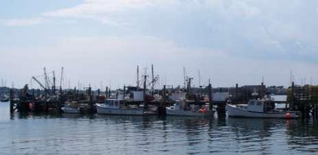 Commercial Fishing Operations COMMERCIAL FISHING PIER: State Pier #9 (RIDEM) 60 full-time commercial fishing vessels, mostly lobster boats In 2006, 48 vessels with federal licenses listed Newport as