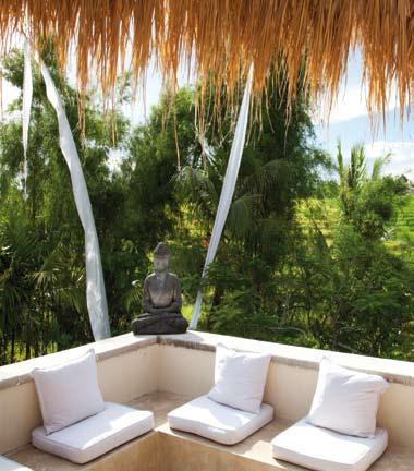 Thanks to special tropical architectural landscaping including a