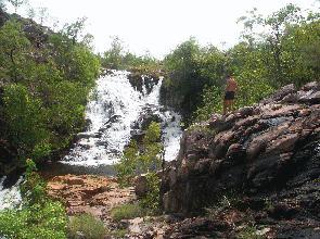It is the only park in the N.T. which has a well established set of walking trails. The longest of these is the trail to Edith Falls, a route which normally takes five days.
