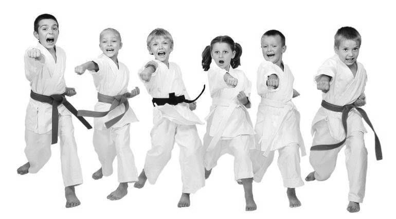 Martial Arts - Youth This class will instruct children in the traditional Japanese based martial arts.