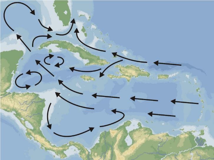 General characteristics of Cuban marine ecosystems Climatic