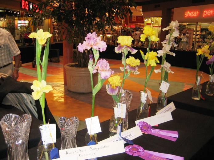 Three hundred containers of irises were quickly sold to help with expenses.