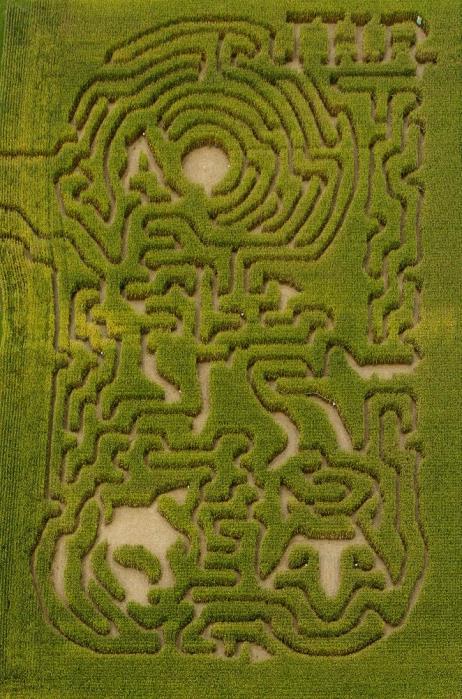 time? Head out to the Idle Hour Ranch! Corn Maze Now Open!