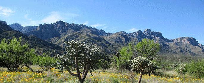 Tucson Drifters Oro Valley Rally October 20-23, 2016 Welcome to the silence of Catalina State Park, 11570 N. Oracle Rd., Tucson, AZ 85737. no trains, no heavy traffic, and no airports.