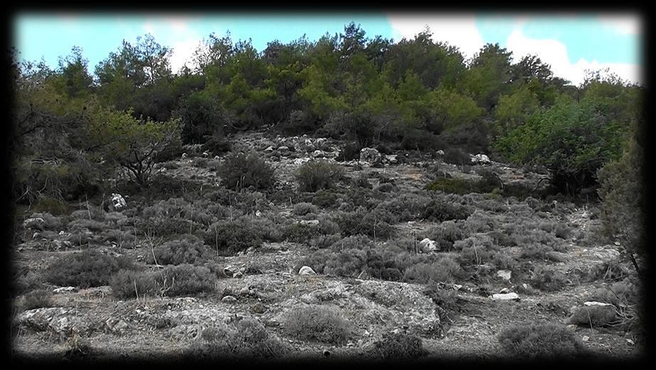 It s now late September and the weather is a little cooler and I m up for another exploratory trip to the Akamas to find