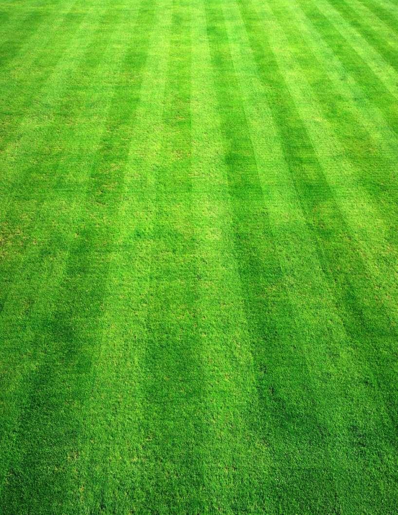 The title to this article might be a bit strong but we assure you that our care and concern for the turf in Durbin North AND South, aren t taken lightly.