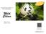Wild China. Amazing Pandas, Monkeys & Terra-cotta Warriors... PHOTO TOUR 2 March 6/13, Celebrating 29 years of incredible photo adventures!