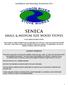 SENECA SMALL & MEDIUM SIZE WOOD STOVES