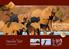 RECOMMENDED by HAN Holidaycheck & TripAdvisor TRAVEL WITH US NAMIBIA