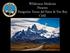 Wilderness Medicine Presents Patagonia: Torres del Paine & Fitz Roy CME