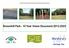 Broomhill Park - 10 Year Vision Document