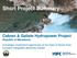 Short Project Summary Cebren & Galiste Hydropower Project Republic of Macedonia