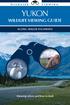 Yukon Wildlife Viewing Guide