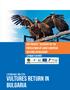 VULTURES RETURN IN BULGARIA LIFE PROJECT RECOVERY OF THE POPULATIONS OF LARGE EUROPEAN VULTURES IN BULGARIA LAYMAN S REPORT LIFE08 NAT/BG/278