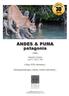 ANDES & PUMA patagonia
