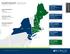 NORTHEAST REGION. Leasing Contacts. NY Metro Region. New England Region. TOM PIRA Senior Director - Real Estate (516)