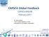 CAPSCA Global Feedback