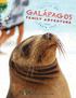 Galápagos. Family Adventure