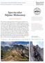 Spectacular Alpine Hideaway