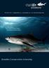 Sharklife Conservation Internship. we need sharks... the ocean needs sharks... the planet needs sharks...