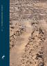 AFRICA PRAEHISTORICA. Desert Road. Archaeology HEINRICH-BARTH-INSTITUT