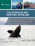 KILLER WHALES AND THEIR PREY IN ICELAND EARTHWATCH 2018