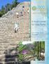 A local s guide to Coba Ruins