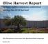 Olive Harvest Report. Human rights violations committed during the 2010 harvest. The Palestinian Grassroots Anti Apartheid Wall Campaign
