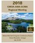 2018 GMOA-AMA-SCMA Regional Meeting