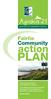 Fairlie Community. action PLAN