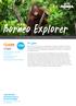 Borneo Explorer $2499 * At a glance $2000 PER PERSON * 12 DAYS nrmatravel.com.au 9A York St Sydney