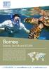 Borneo. Science, Sea Life and SCUBA. 16 Days. t: e: w: