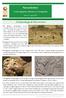 Newsletter. of the Egyptian Ministry of Antiquities. Issue 23 * April Archaeological Discoveries