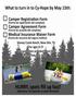 2017 Camper Information and Health Form