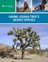 SAVING JOSHUA TREE S DESERT SPECIES EARTHWATCH 2016