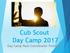 Cub Scout Day Camp 2017 Day Camp Pack Coordinator Training