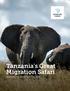 LAND TOUR Tanzania's Great Migration Safari