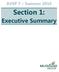 AVSP 7 Summer Section 1: Executive Summary