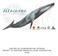 Texts: Bárbara Galletti. Graphic Design: Elsa Cabrera All images Centro de Conservación Cetacea Blue whale illustration: CCC/Tymen Engelaar