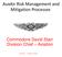 AuxAir Risk Management and Mitigation Processes. Commodore David Starr Division Chief Aviation