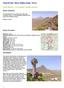 Tenerife Sur: Short Walks Under 10 km. Cabo Blanco - La Camella Circular (Arona) Route Summary. Route Overview. Description