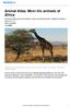Animal Atlas: Meet the animals of Africa