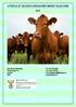 A PROFILE OF THE SOUTH AFRICAN BEEF MARKET VALUE CHAIN