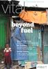 beyond fuel Stoves That Save No Question Global Priority THE ESSENTIAL PERSPECTIVE An energy revolution for the developing world