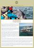 Grey Whale Adventure. for Single People Only! Adventure travel in Baja California and more