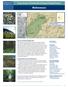 Focus Areas of Statewide Ecological Significance. Mahoosucs