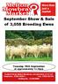 September Show & Sale of 3,058 Breeding Ewes